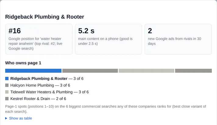 Top of a sample report for a plumbing company: its Google position on a key search, its phone load time, rivals' new Google ads, and a bar showing who owns page one