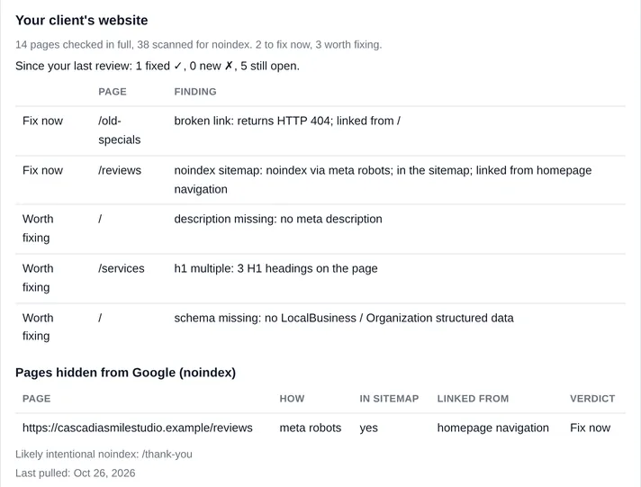 Website section of a sample report for a dental practice: a broken link to fix now, a reviews page marked noindex while listed in the sitemap, and smaller issues worth fixing