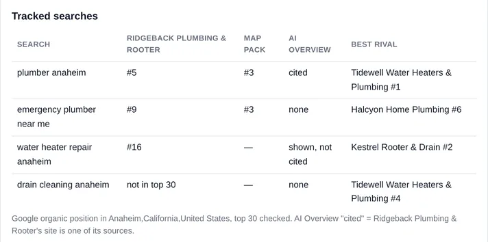 Tracked searches table from a sample report: for four plumbing searches in Anaheim, the client's Google position, its map pack rank, whether the AI Overview cites it, and the best-placed rival